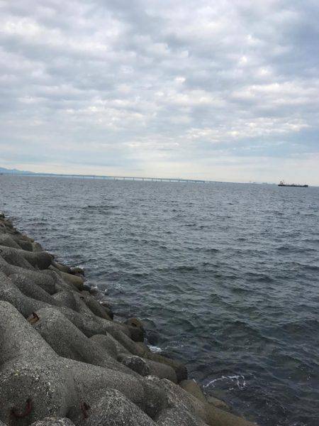 ライトショアジギング