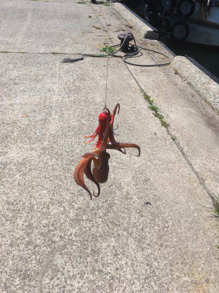 オクトパッシング