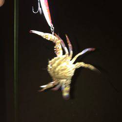 夕まずめから楠サーフ