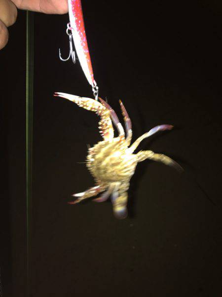 夕まずめから楠サーフ