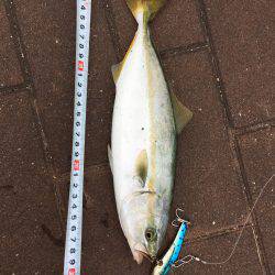 ポートアイランドでツーバスとシーバス!