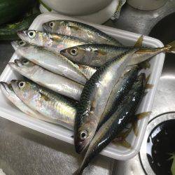 遠征ファミリーフィッシング