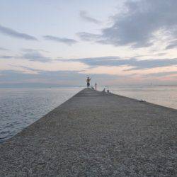 マッチ ザ ベイト⁈