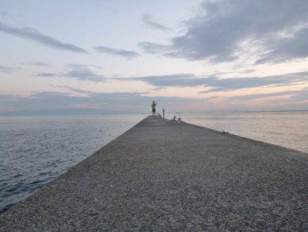 マッチ ザ ベイト⁈