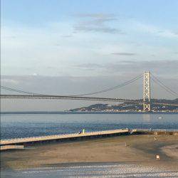 大蔵海岸でサバ狙い！！