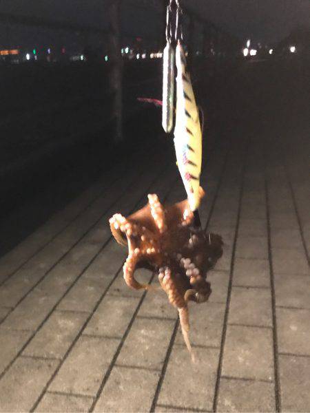 ナイト＆デイタコゲーム