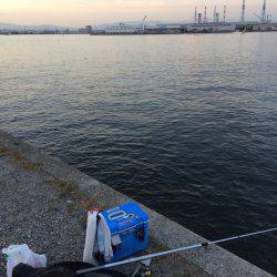 タコリベンジならず