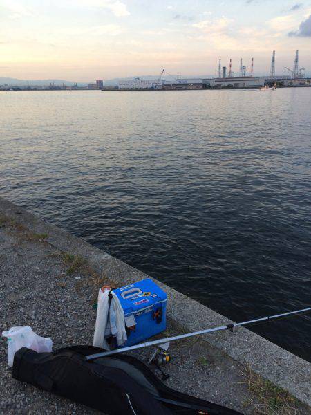 タコリベンジならず