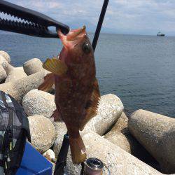 スーパーライトショアジギング