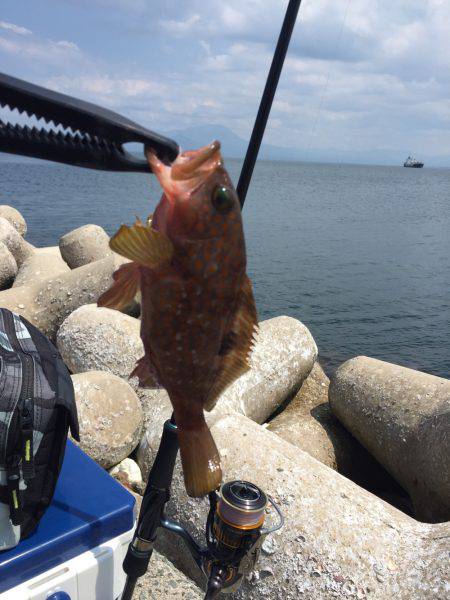 スーパーライトショアジギング