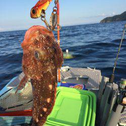 マイボートでタイラバ、ジギング