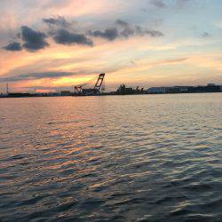 タコちゅ〜快調！