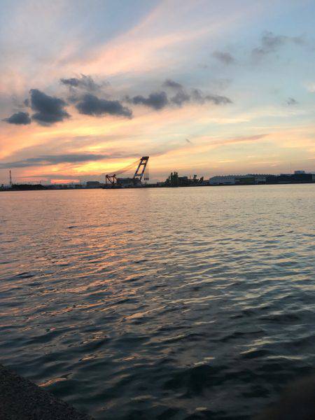 タコちゅ〜快調！