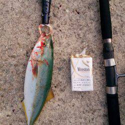 バラシまくり(´・д・`)