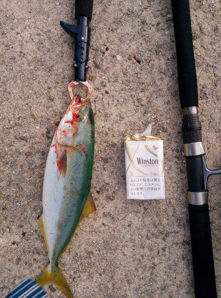 バラシまくり(´・д・`)