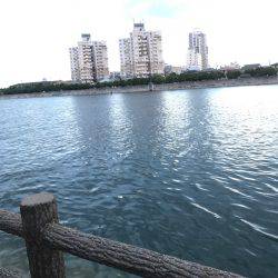 ナイトオクトパッシング