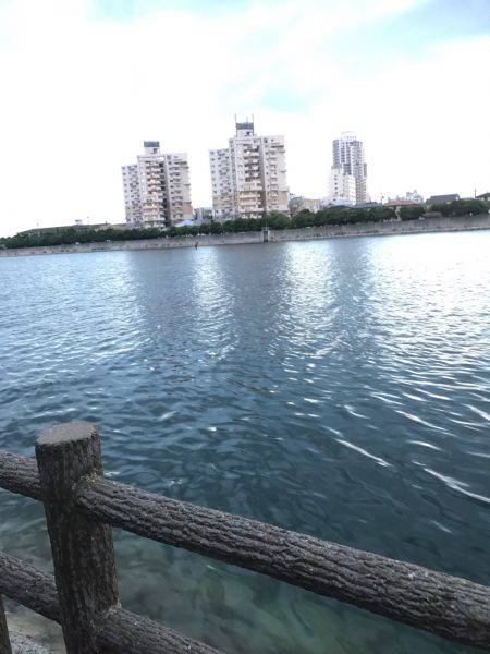 ナイトオクトパッシング