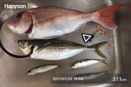 初 落とし込み釣り