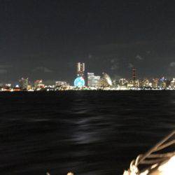 夜通しアジング…風、水深、ポイントに課題