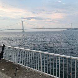 ちょい投げ釣行