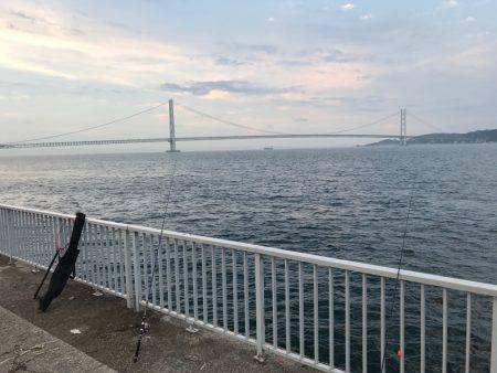 ちょい投げ釣行