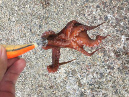 遠投で狙い撃ち！