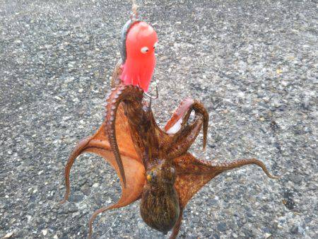 オクトパッシング