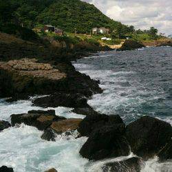 シオともじゃこ