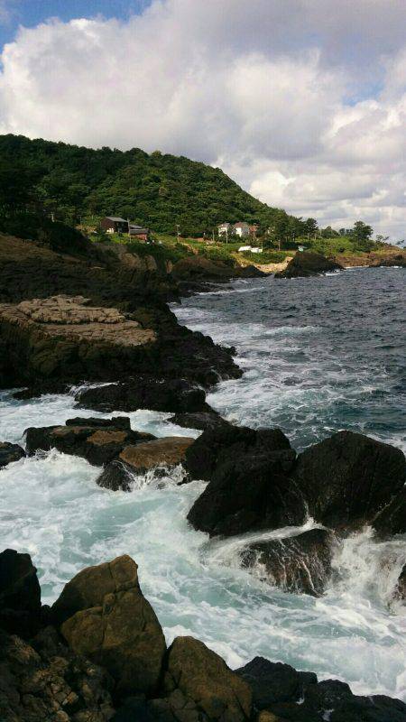 シオともじゃこ