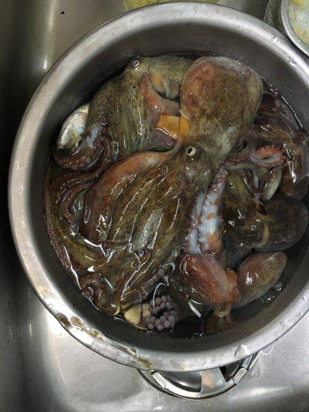 オクトパッシング&ジグサビキ&ショアジギ