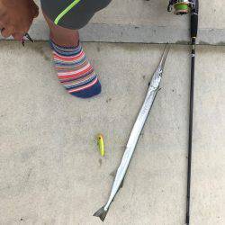 チヌポッパーIN宮川