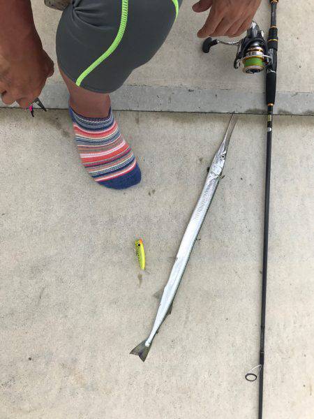 チヌポッパーIN宮川