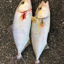 入野漁港周辺にて