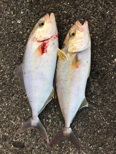 入野漁港周辺にて