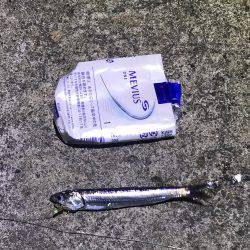 うみかぜ公園、初チャレンジ！