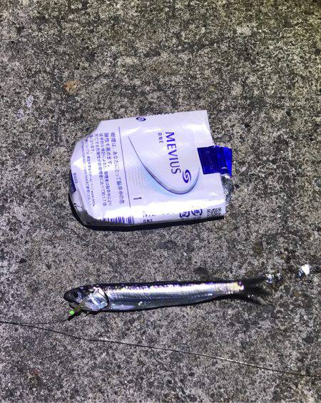 うみかぜ公園、初チャレンジ！