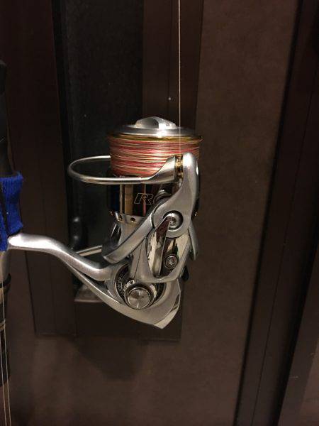 チニングでシーバス