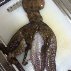 リベンジ出来ました(^ ^)