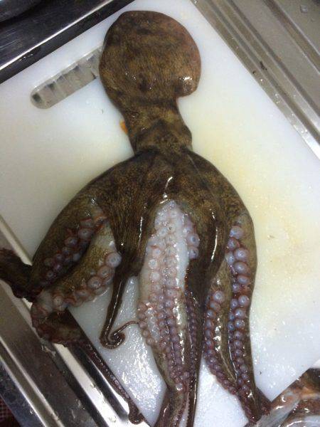 リベンジ出来ました(^ ^)