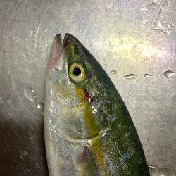 メタルマルでつばす