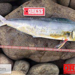 初ライトショアジギング