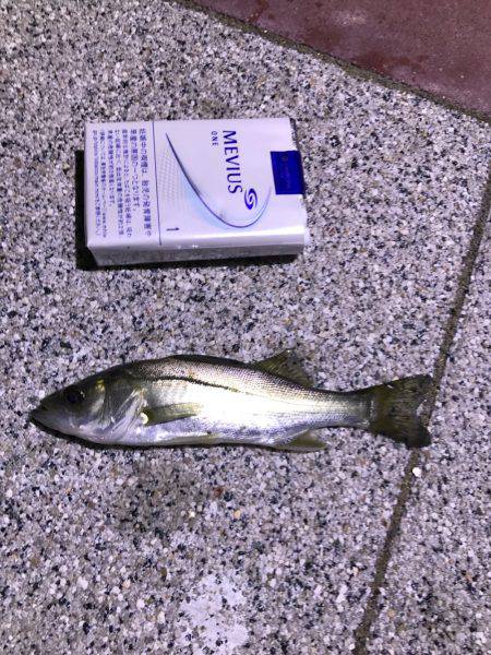 フッコ、セイゴ！