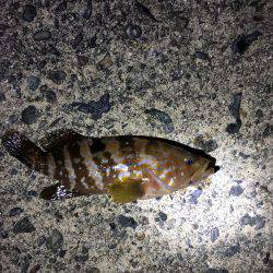 小さいながらも