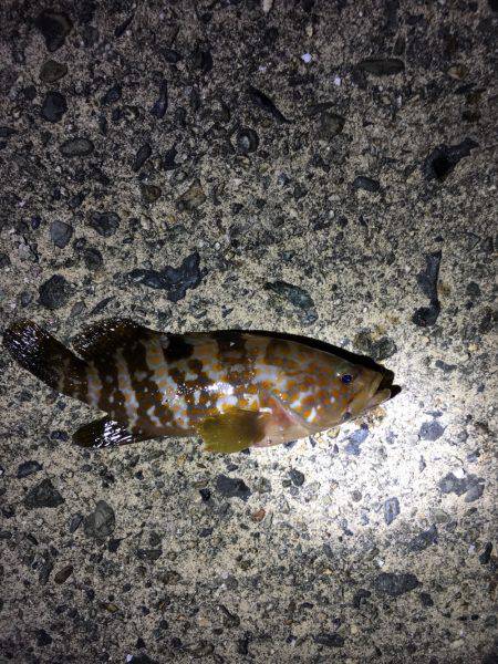 小さいながらも