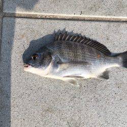 まだ早いかな？