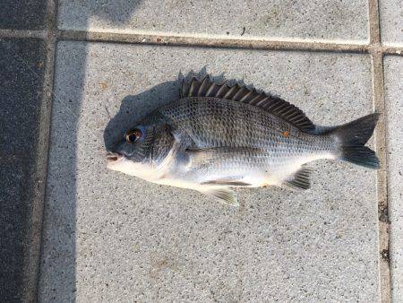 まだ早いかな？