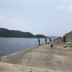 シイラトップゲーム