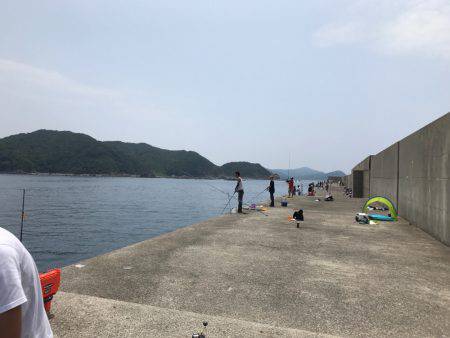 シイラトップゲーム