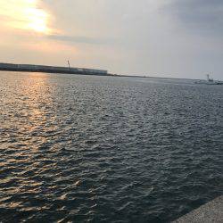 釣りと花火大会