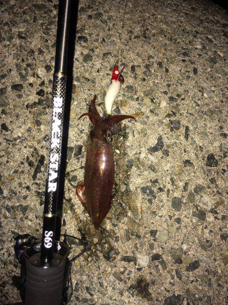 神明ライトエギング